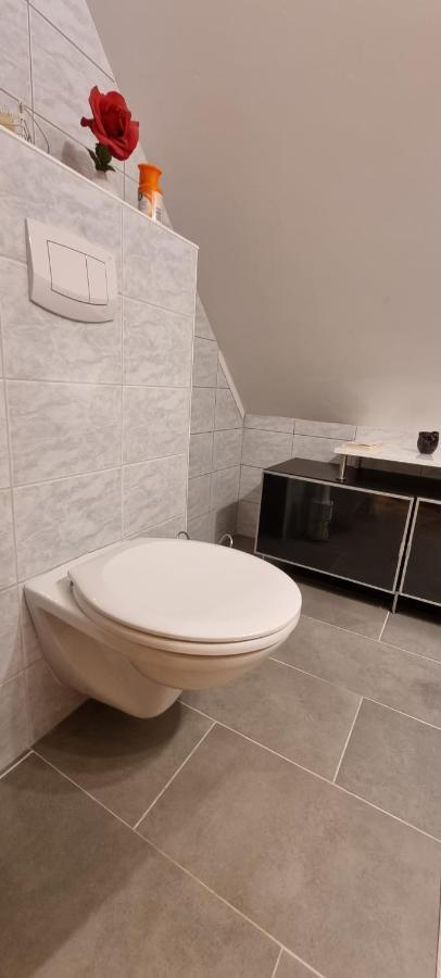 Apartment Mittelpunkt - Kaufmann Sankt Stefan ob Leoben Eksteriør bilde